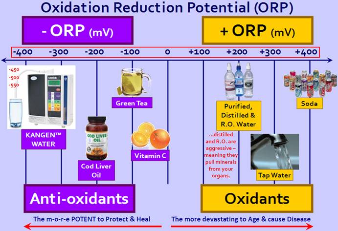 Kangen Orp Chart